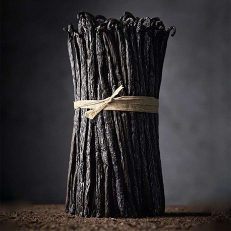 Vanilles de Madagascar BIO VALRHONA - tube de 3 gousses