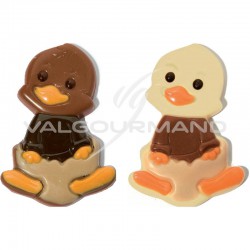 Minis chocolats pleins décorés Happy Ducks blanc/lait coquille moka - boîte de 1.8kg en stock