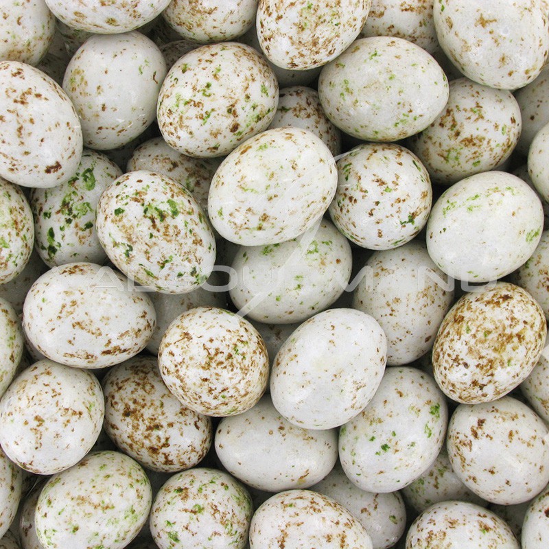 Oeufs de mouette chocolat praliné Révillon