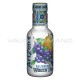 Arizona White Tea & Blueberry 50cl - 6 bouteilles