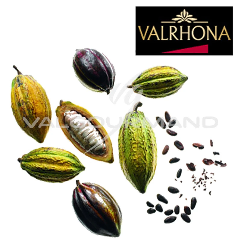 Macarons amande et chocolat Valrhona® - cœur de Guanaja®