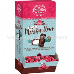 Mini oursons en guimauve et chocolat au lait - boîte de 100 en stock