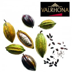 Valrhona Selection - Oreilles lapin Pâques marron