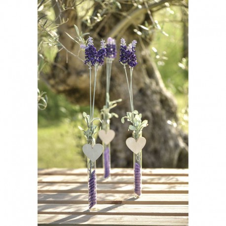 Eprouvettes en verre 15CM - 48 pièces