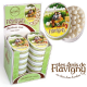 Boîtes collection Flavigny anis 50g - 12 boîtes