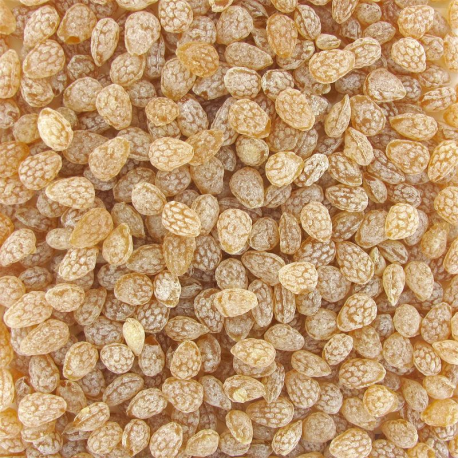 Bonbons au miel Bourgeons de sapin - 2kg