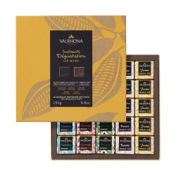 Coffret 50 carrés noir & lait VALRHONA Les Initiès - 250g