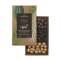 Equinoxe amandes/noisettes au chocolat lait, noir et dulcey Valrhona - coffret de 300g