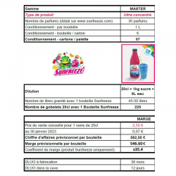 PRECOMMANDE Machine à Granité / Granita 2 bacs Sun Freeze - pack complet