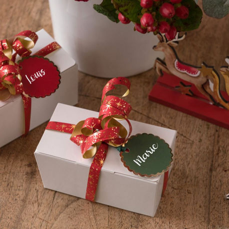 Ballotins BLANC uni 500g - 25 pièces