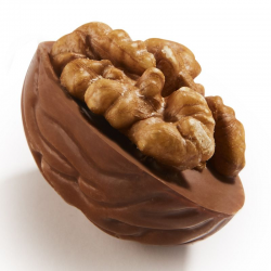 Demi noix chocolat lait praliné - 1kg