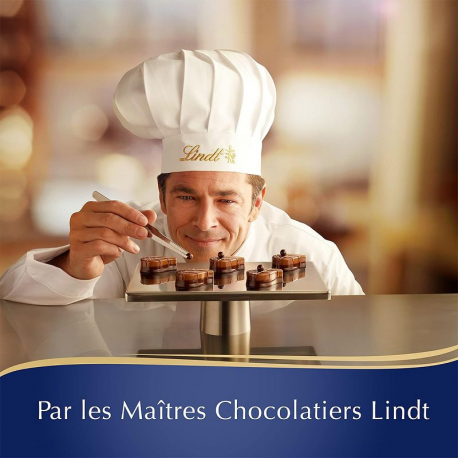 PRECOMMANDE Boîte décor Noël chocolats assortis Lindt - 469g