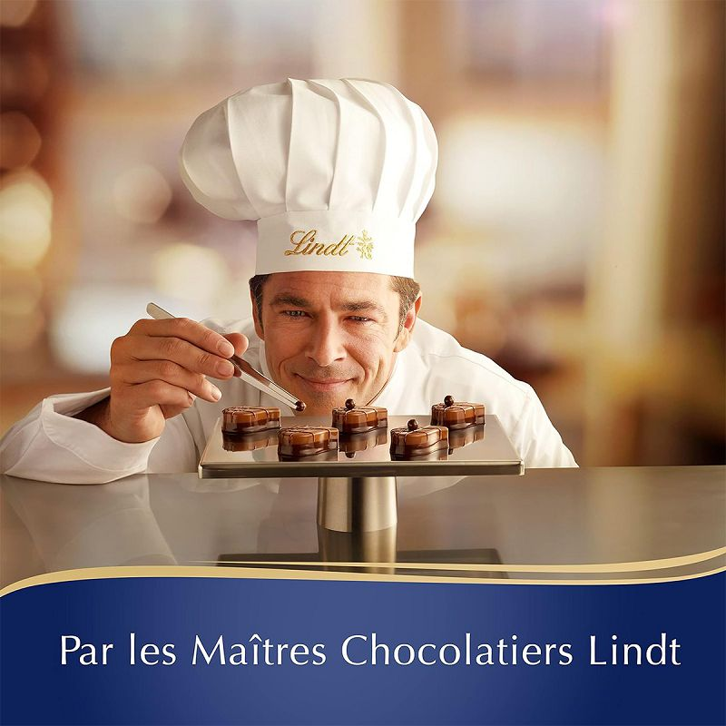 Lindt - Boîte PAYSAGE DE NOËL Assorti - Assortiment de Chocolats au Lait,  Noirs et Blancs - Idéal pour Noël, 469g : : Epicerie