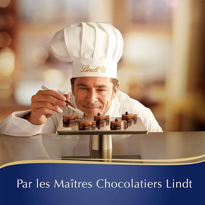 Lindt Boîte Cadeau de Noël 668g