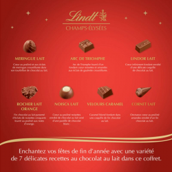 Lindt - Boîte CHAMPS-ÉLYSÉES - Assortiment de Chocolats au Lait, Noirs et  Blancs – Idéal pour Noël, 469g