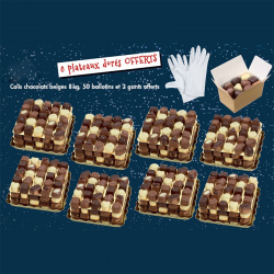 Chocolats Belges assortis - colis mini plateaux de 8kg