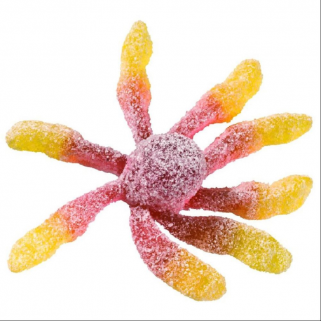 Poulpes Joubini Trolli - sachet de 1kg