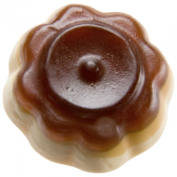 Flans caramel Flanbolo (Flambotti) HARIBO - 1,5kg