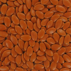 Dragées chocolat extra 71% terracotta - 1kg