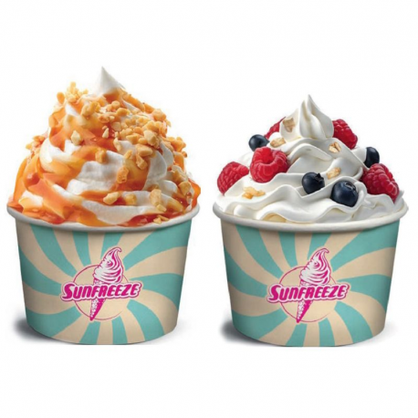 PRECOMMANDE Machine Freezy Cream double 2 bacs 6L Pack complet Sundae et Yaourts Glacés
