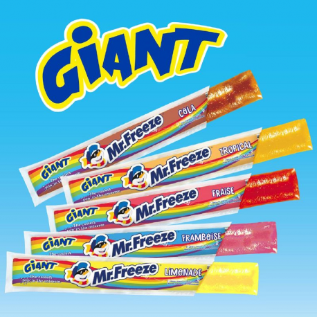Mr Freeze GIANT classic 105ml - boîte de 64