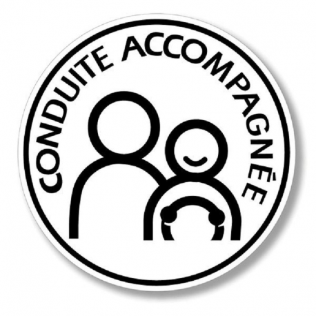 Disque conduite accompagnée électrostatique - pièce