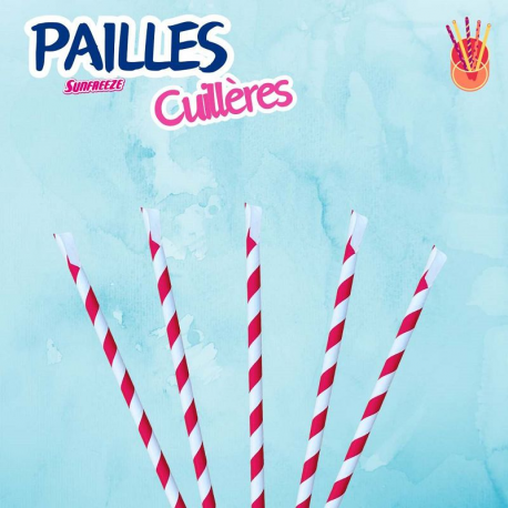 Pailles cuillères (en carton) spécial granité - sachet de 100