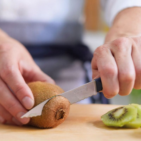 Couteau Opinel cranté N° 313 Essentiels + BLEU