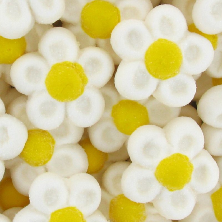 Fleurs marshmallow - sachet de 900g