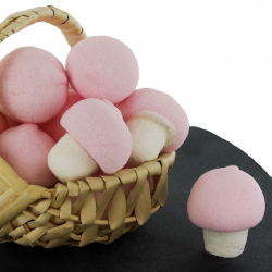 Champignons en guimauve - boîte de 150