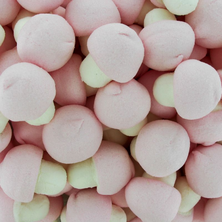 Champignons en guimauve - boîte de 150