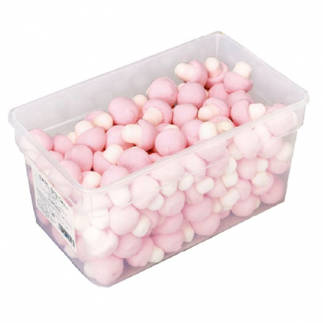 Champignons en guimauve - boîte de 150