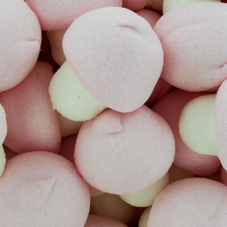 Champignons en guimauve - boîte de 150