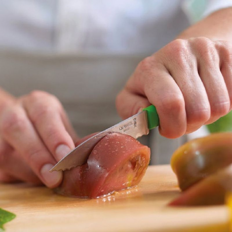 Couteau Opinel cranté N° 313 Essentiels + VERT