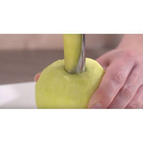 Vide pomme Tescoma GrandChef INOXYDABLE