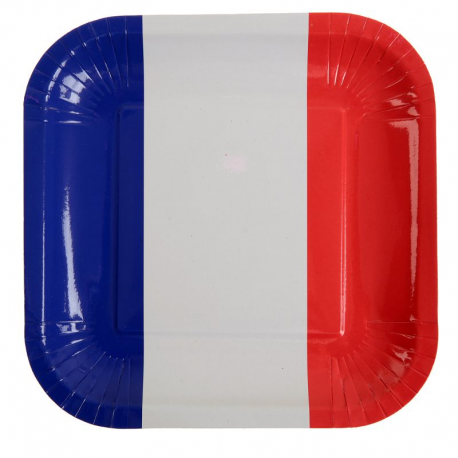 Assiettes en carton drapeau bleu blanc rouge France - 10 pièces