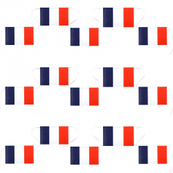 Banderole 15 drapeaux bleu blanc rouge France - pièce