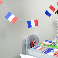 Banderole 15 drapeaux bleu blanc rouge France - pièce