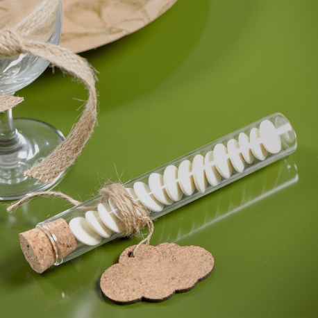 Eprouvettes en verre 15CM - 48 pièces