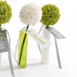 Marque-places rectangle et ruban BLANC - 12 pièces