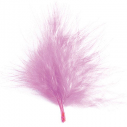 Plumes Duvet 7cm ROSE - 20 pièces