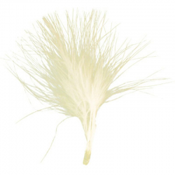 Plumes Duvet 7cm IVOIRE - 20 pièces