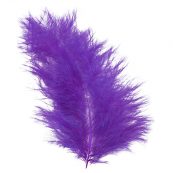 Plumes Duvet 7CM PRUNE/VIOLET - sachet de 20