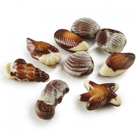 Fruits de mer chocolat praliné - carton de 3.5kg