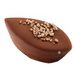 PRECOMMANDE Chocolats Julie caramel ganache - boîte de 870g