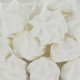 Meringues blanches - barquette de 100g