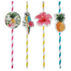 Pailles ambiance Tropical - boîte de 8