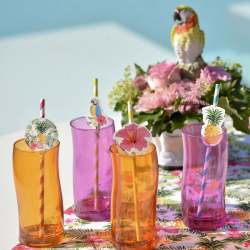 Pailles ambiance Tropical - boîte de 8