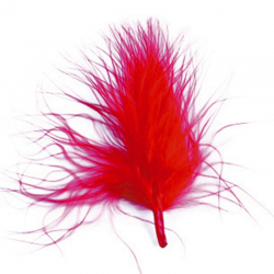 Plumes Duvet 7cm ROUGE - 20 pièces