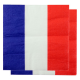Serviettes de table drapeau bleu blanc rouge France - 20 pièces